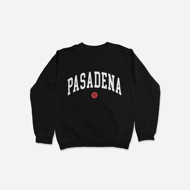 Shadow hill icy sales grape racing crewneck